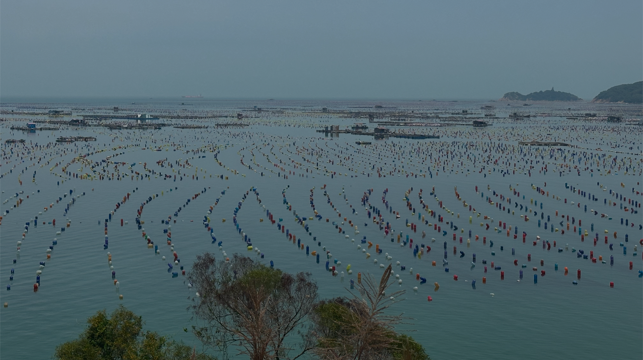 海面养殖场的实拍参考